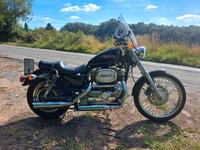 Harley-Davidson Sportster 1200 Bochum - Bochum-Wattenscheid Vorschau