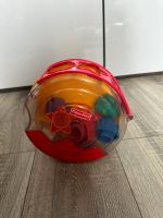 Kinderspielzeug Fisher Price Rheinland-Pfalz - Bobenheim-Roxheim Vorschau