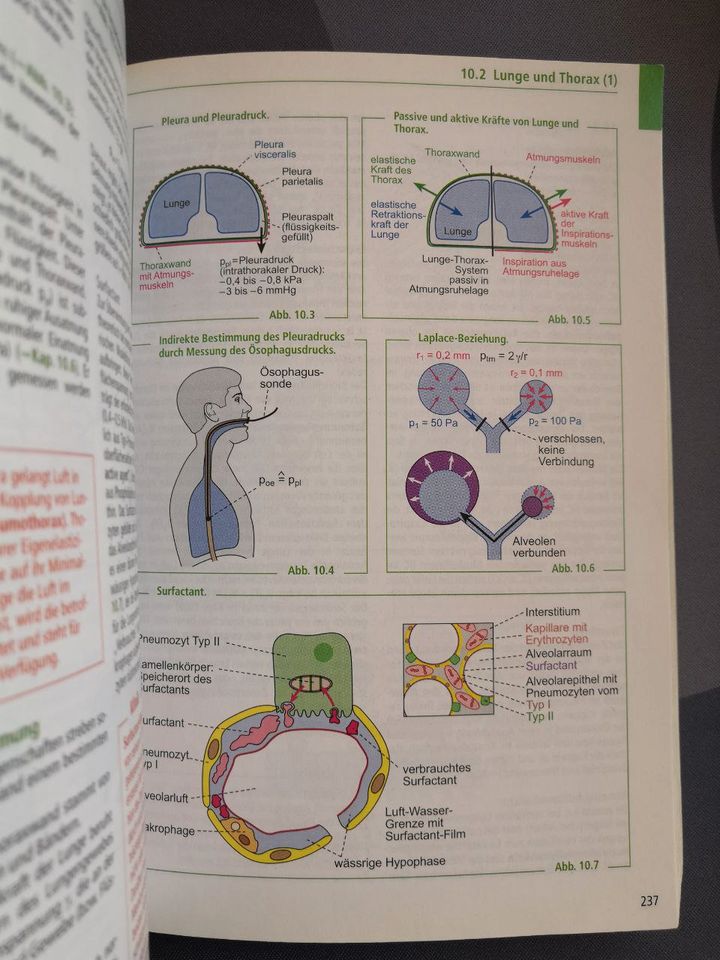 Taschenatlas Physiologie Elsevier in Berlin