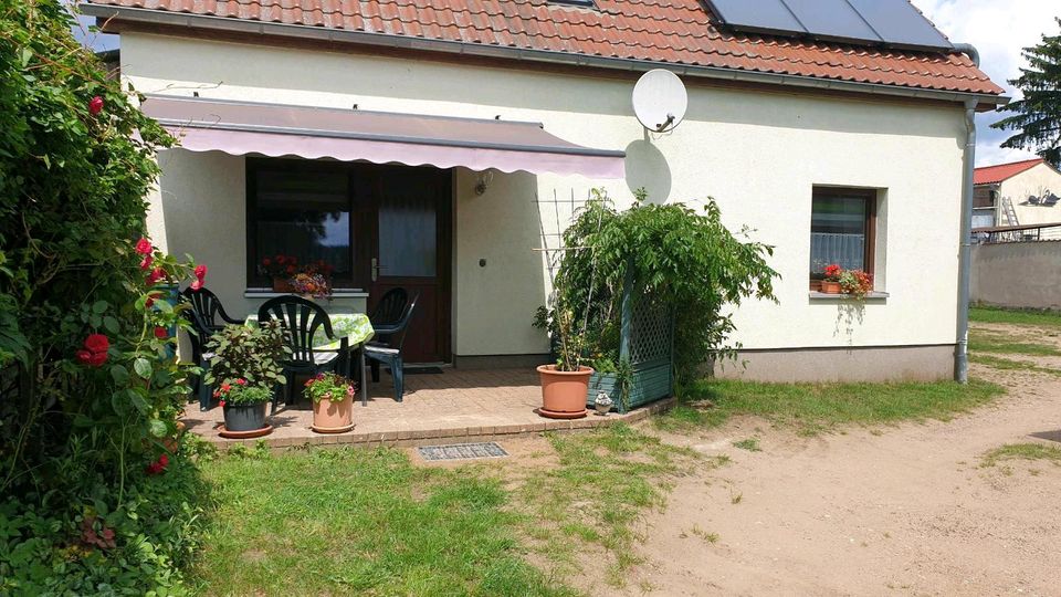 Ferienhaus am Wasser Sparpreis Lychen Uckermark See Wald Last Min in Lychen