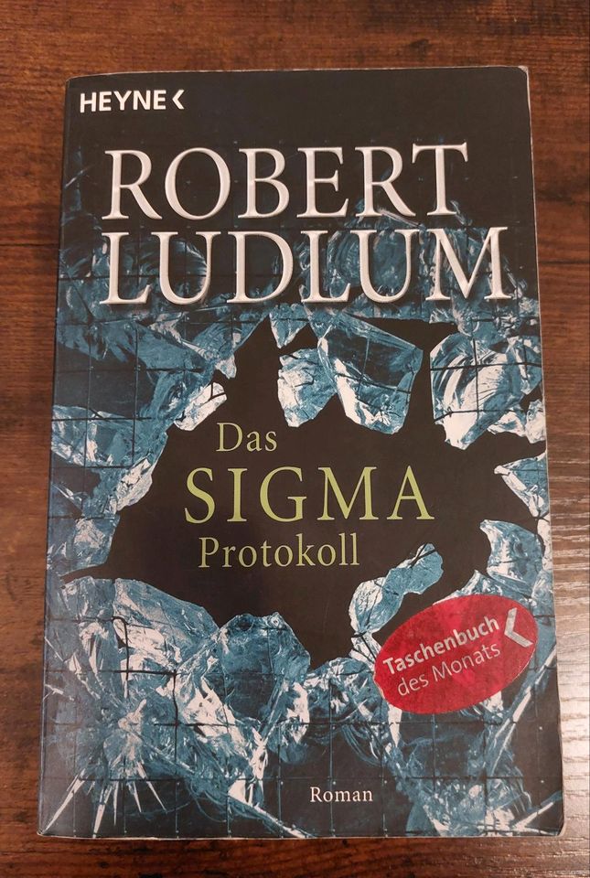 Robert Ludlum/Verschiedene Bücher/Roman/Buch in Radeberg