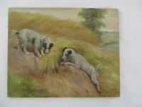 Ernst Brödel Gemälde Öl auf Holz Foxterrier Terrier sehr alt ! Baden-Württemberg - Isny im Allgäu Vorschau