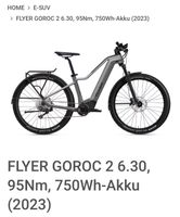 FLYER GOROC 2 6.30, 95Nm, 750Wh-Akku (2023) ** L ** Bayern - Schwabach Vorschau