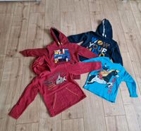 4 Pullover Hoodie für Jungs Gr. 116 zusammen 10 € Niedersachsen - Langelsheim Vorschau