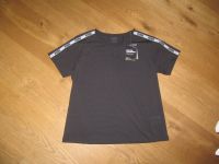 Puma T-Shirt M schwarz Drycell NEU OVP Neustadt - Huckelriede Vorschau