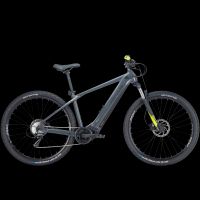 2024er   E-Bike BULLS LT CX EVO 29 nano grey 625wh RH54cm Rheinland-Pfalz - Traben-Trarbach Vorschau