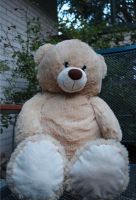 Teddybär XL 80cm Baden-Württemberg - Heidenheim an der Brenz Vorschau