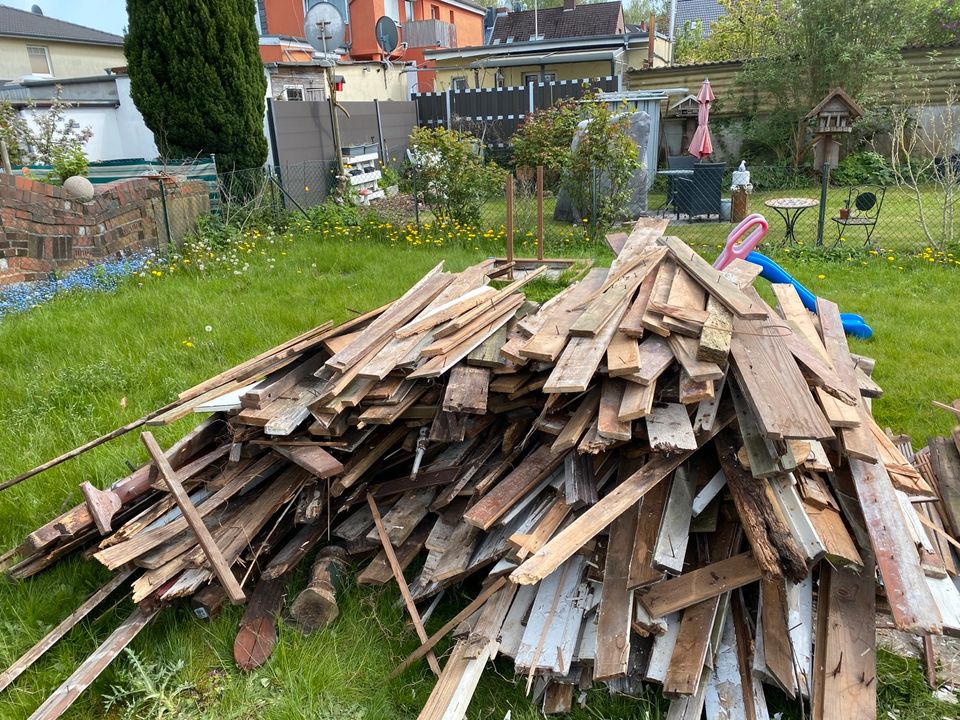Holz zu verschenken in Kiel