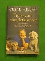 Cesar Milan Tipps Tips vom Hundeflüsterer Bayern - Karlstein Vorschau