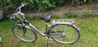 Fahrrad - Damenfahrrad 28 zoll Bayern - Günzburg Vorschau