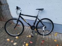 Fahrrad Kontech 26 Zoll Saarland - Beckingen Vorschau