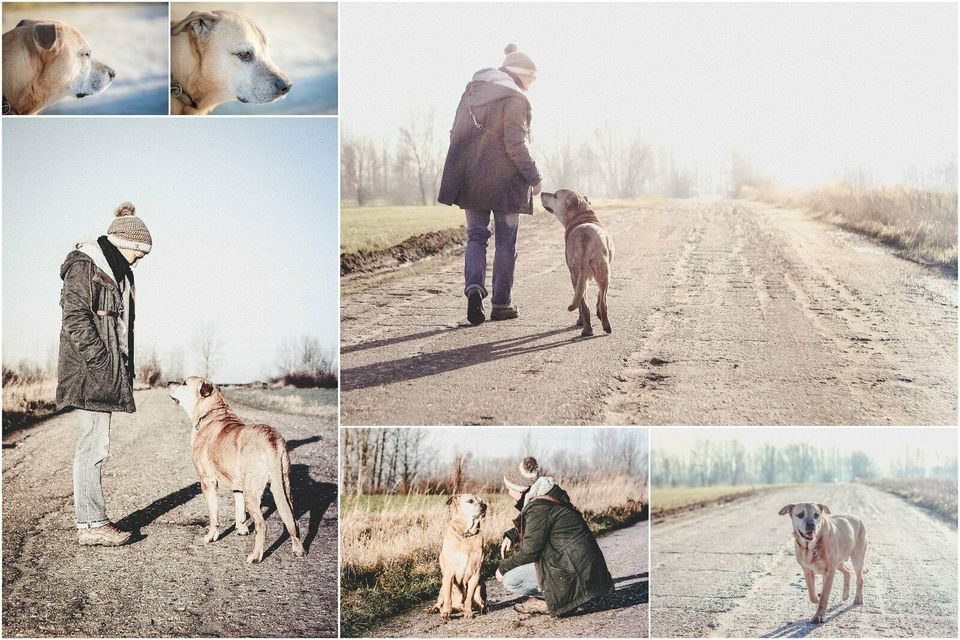 Verlobung LOVESTORY Profi Fotograf Pärchenfotos Portrait in Leipzig