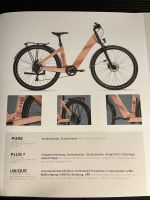 „My Esel“ E-Bike Elegance Plus Gr.M (neu mit Garantie) Nordrhein-Westfalen - Hiddenhausen Vorschau