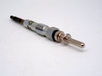 BOSCH Glühkerze 0250202103 Opel Rover MG BMW E46 E39 E38 Hessen - Bad Camberg Vorschau