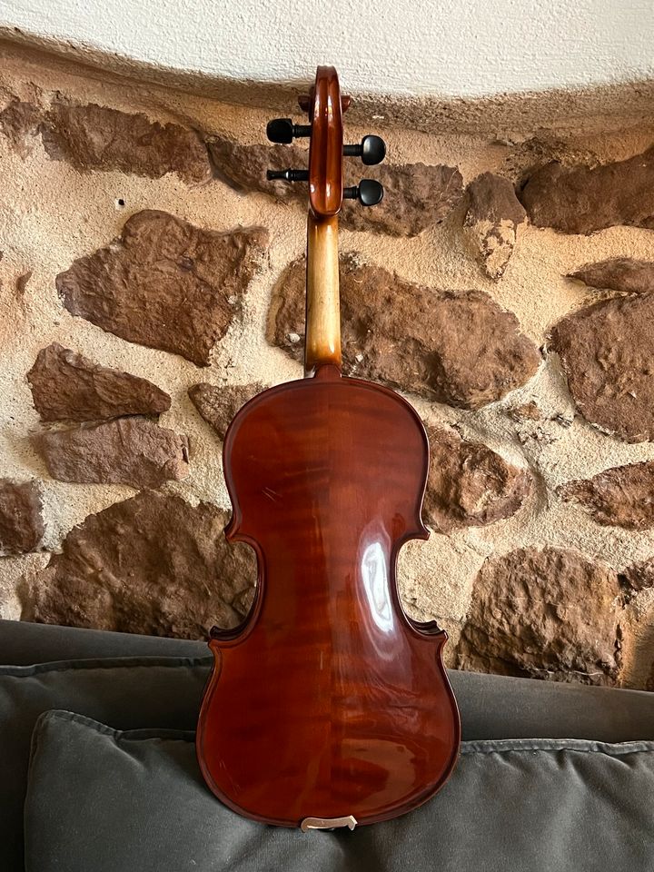 1/2  Geige GEWA Allegro Set überholt, neuer Bogen, Violine in Freiburg im Breisgau