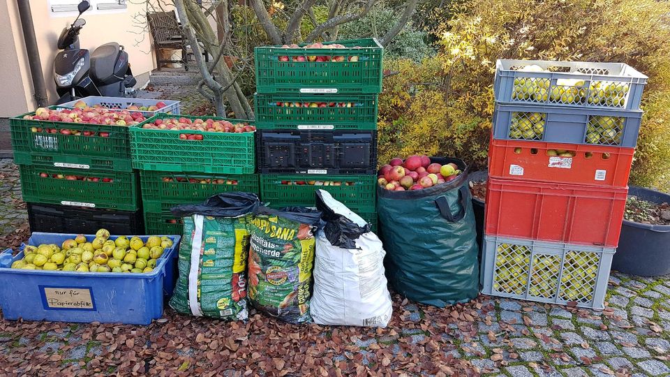 Apfelsaft in 3l und 5l Bags in Friedland