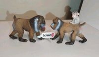 Schleich 14716 Mandrill Weibchen mit Baby und NEU 14715 Mandrill Baden-Württemberg - Schutterwald Vorschau