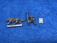 Goblin Wolf Rider Warhammer Oldhammer The Old World WHFB Nordrhein-Westfalen - Hennef (Sieg) Vorschau