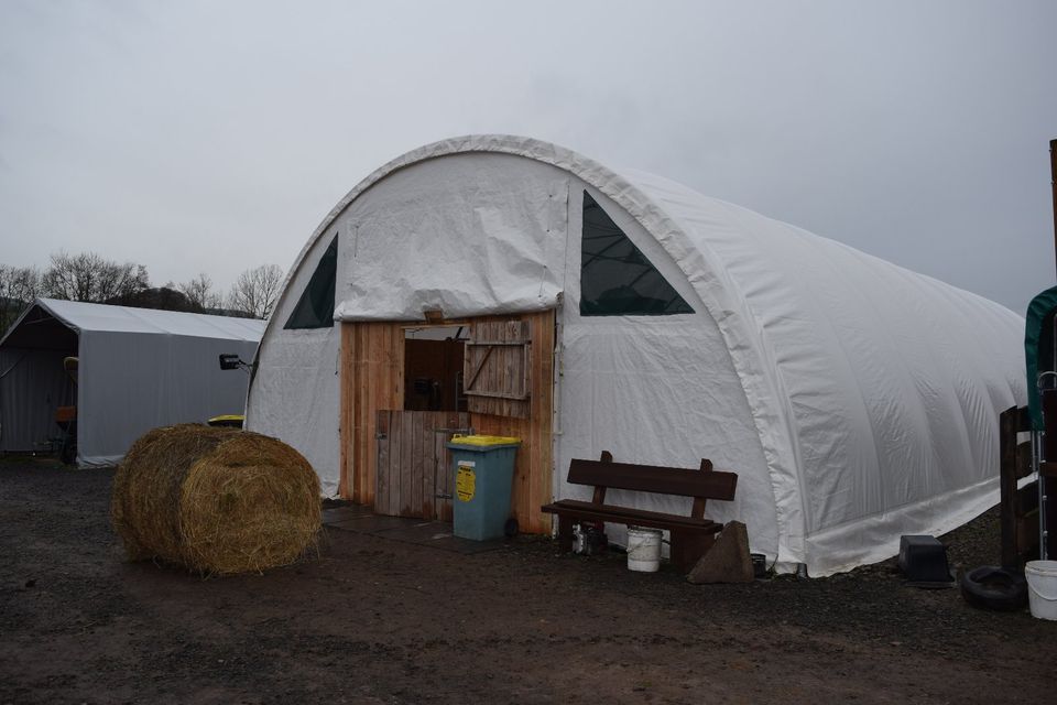 Pferde Unterstand Lagerhalle Landwirtschaft 12x9,15x4,5 Statik in Rodeberg