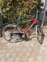 Fahrrad Parkett Fahrradsitz Katzenkletterwand Bayern - Wurmsham Vorschau