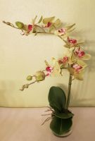 Orchidee künstliche Orchidee grün 45cm Kr. Altötting - Unterneukirchen Vorschau