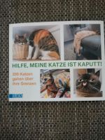 Lustigsten Katzen Fotos in einem Buch Bayern - Raubling Vorschau