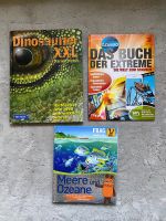 3 Kinderbücher Entdeckungen, Dinosaurier, Frag die Maus: Meere Rheinland-Pfalz - Worms Vorschau
