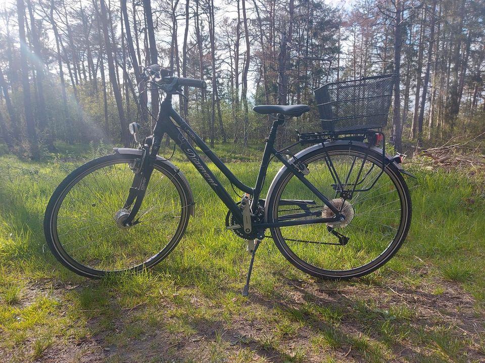 Diamant Fahrrad, Trekkingrad, Damenrad, schwarz, 26 Zoll in Königsbrunn