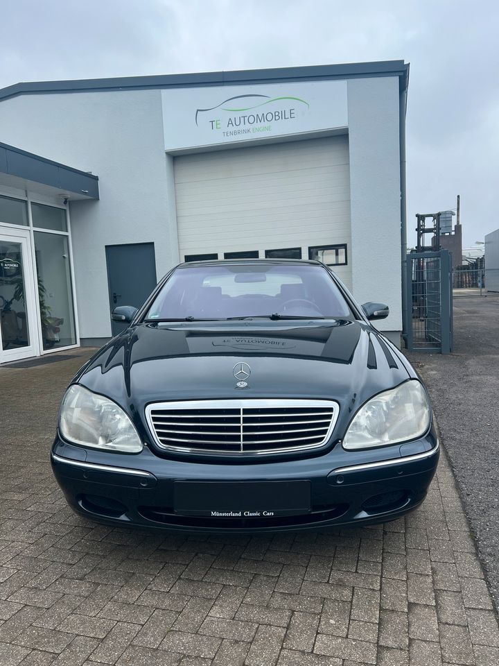 Mercedes S Klasse W220 V8 *M113*Service Neu! in Stadtlohn