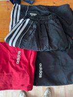 3 x Adidas Sporthosen Brandenburg - Guben Vorschau