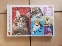 Trefl Puzzle 1000 Teile "Lustige Katzen" Premium Quality NEU OVP Nordrhein-Westfalen - Overath Vorschau