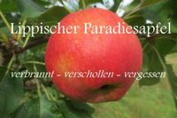 "Der BESTE Apfel der Welt" - Lippischer Paradiesapfel Nordrhein-Westfalen - Horn-Bad Meinberg Vorschau