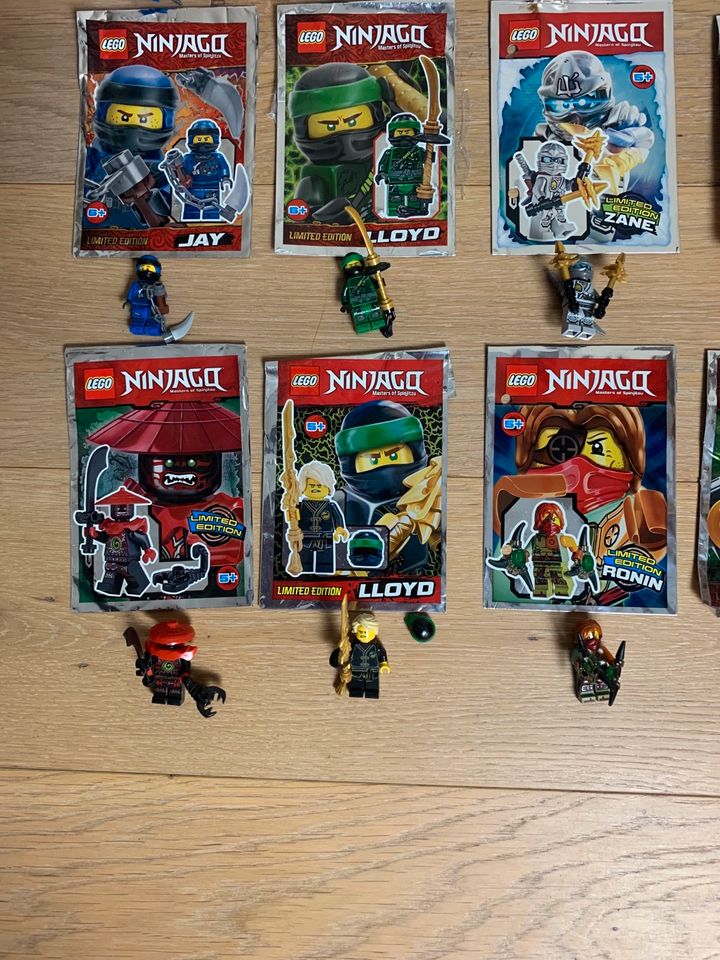 21 Figuren LEGO Ninjago- Limited Edition in Südlohn