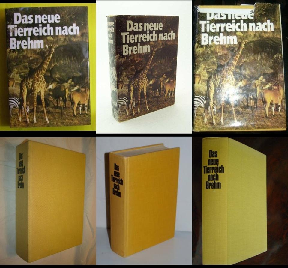 Buch „Das neue Tierreich nach Brehm“ Tierlexikon Tierarten ❤️ in Bad Nauheim