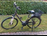 E- Bike von Pegasus Hessen - Fulda Vorschau