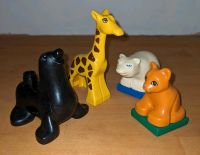 Lego Duplo Tiere Zoo frisch gewaschen Nordrhein-Westfalen - Kall Vorschau