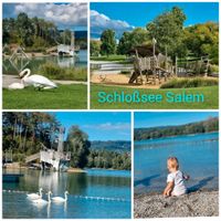 11 Tage Urlaub 9.8. Bodensee Ferienwohnung bis 4 Pers. Klima Baden-Württemberg - Salem Vorschau