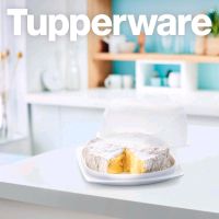 Tupperware Mini-KäseMaX 2 NEU Bayern - Horgau Vorschau