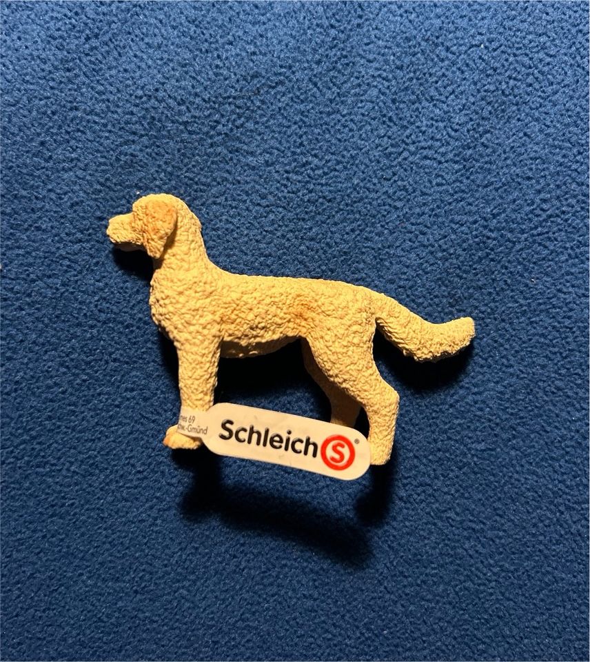 SCHLEICH®  Farm World 13939  Goldendoodle NEU in Berlin