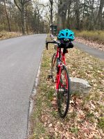 Stevens Rennrad Berlin - Tempelhof Vorschau