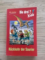 Taschenbuch Die drei ??? Kids dtv Junior Buch Nordrhein-Westfalen - Borchen Vorschau