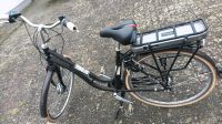 E-Bike Dynabike Niedersachsen - Ostrhauderfehn Vorschau