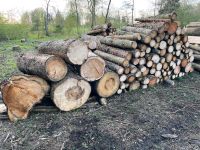 Brennholz Fichte ab Wald 2rm 1m Länge trocken Bayern - Neu Ulm Vorschau