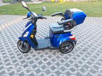 Rolektro E-Trike 25 V.2  Seniorenmobil blau Niedersachsen - Denkte Vorschau