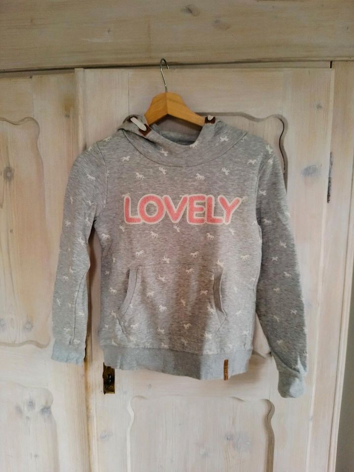 Toller Hoodie von Ernstings Family Gr 146/152 mit Pferden in Limbach-Oberfrohna