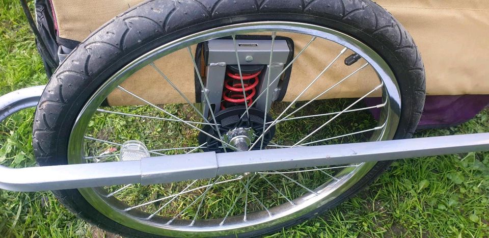 Kinder Fahrrad Anhänger Kinderanhänger in Beucha