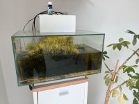 Fluval Edge Aquarium 23L weiß Mecklenburg-Vorpommern - Klein Rogahn Vorschau