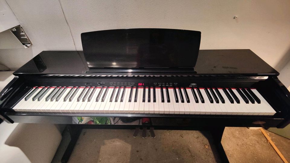 E Piano: Classic DP50 Digital Piano in Wandlitz