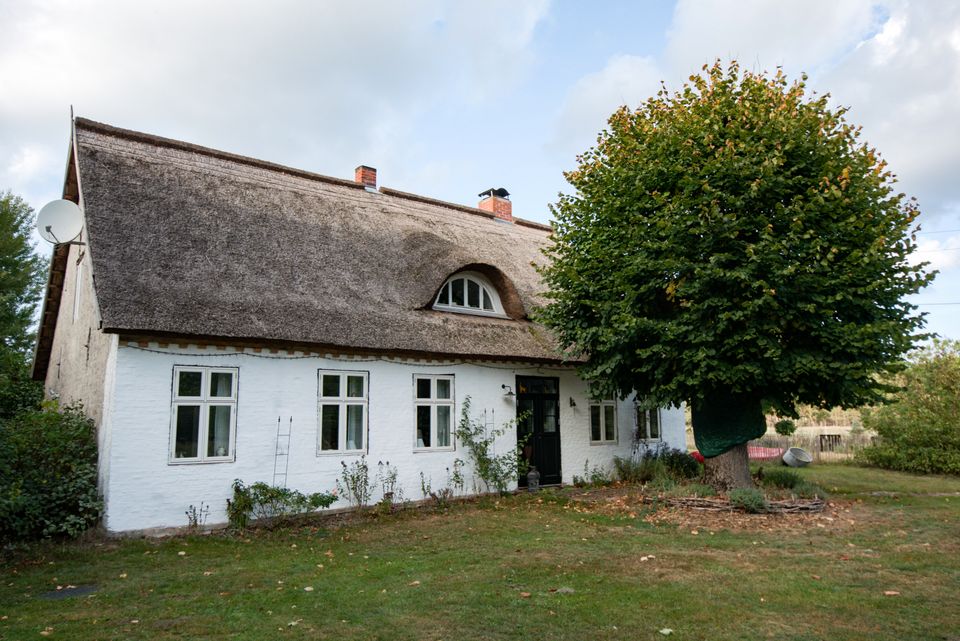 Top-saniertes Bauernhaus, Pferdestall & Koppel 60.000 m² in Luckow (bei Torgelow)