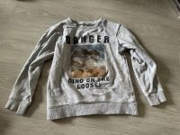 3D Jungen Hoodie Pullover Sweatshirt H&M Dino Gr. 110/116 Essen - Stoppenberg Vorschau